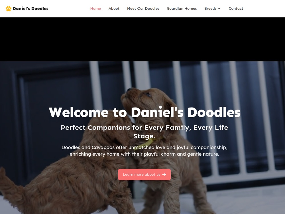 The Daniel's Doodles website, designed and built by Royal Blue Media